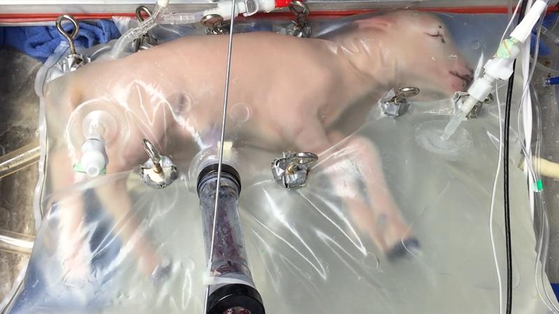 As 10 maiores descobertas cientificas de 2017