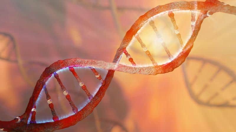 As 10 maiores descobertas cientificas de 2017