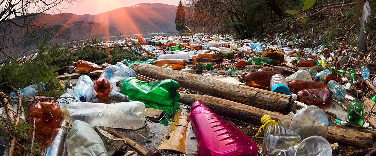 alternativa ao plástico